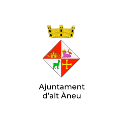 11-ajuntament-alt-aneu-patrocinador-jornades-excellencia